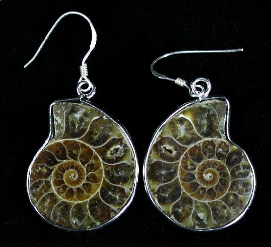 Stylish Fossil Ammonite Earrings #21064